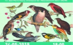 Conférence sur les oiseaux de Corse à la Médiathèque de Pietrosella !
