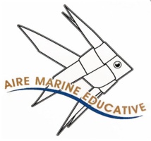 L'école du Ruppione et le projet "Aires Marines éducatives"