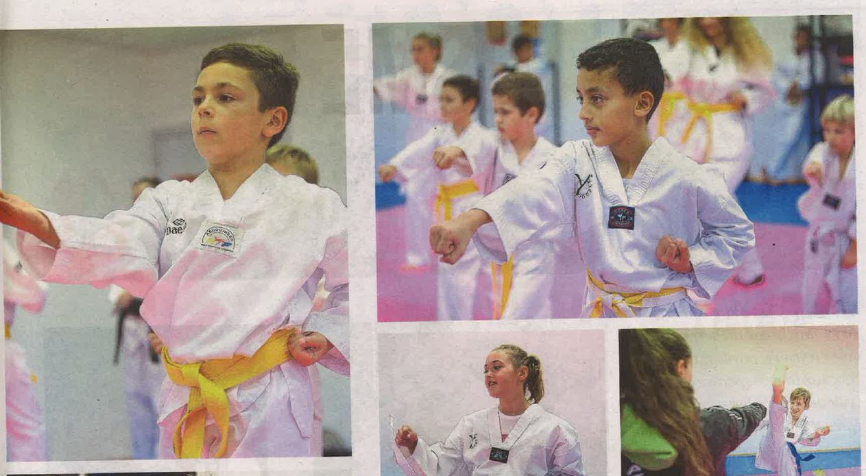 Le club de Taekwondo de Pietrosella à l'honneur