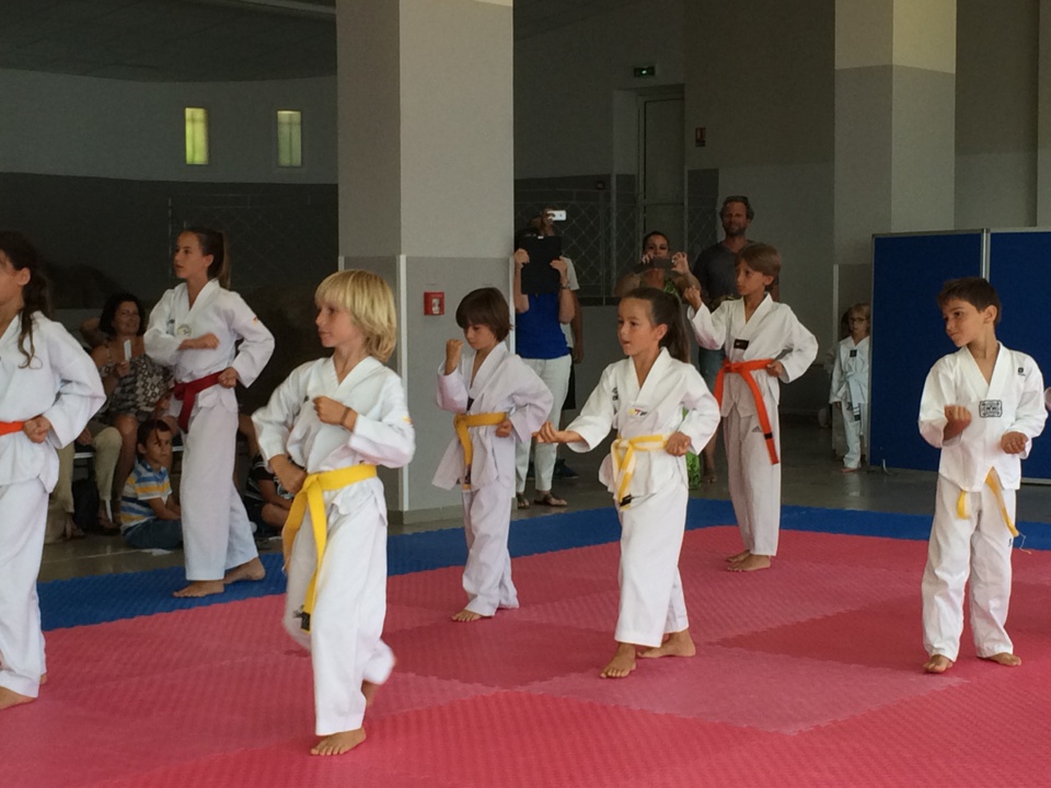Club de Taekwondo Pietrosella
