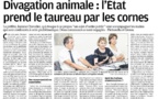 La commune de Pietrosella au coeur des questionnements sur la divagation animale : article et interview du maire.