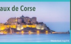 Consultez les rapports du Syvadec concernant les déchets et le tri en Corse pour l'année 2020